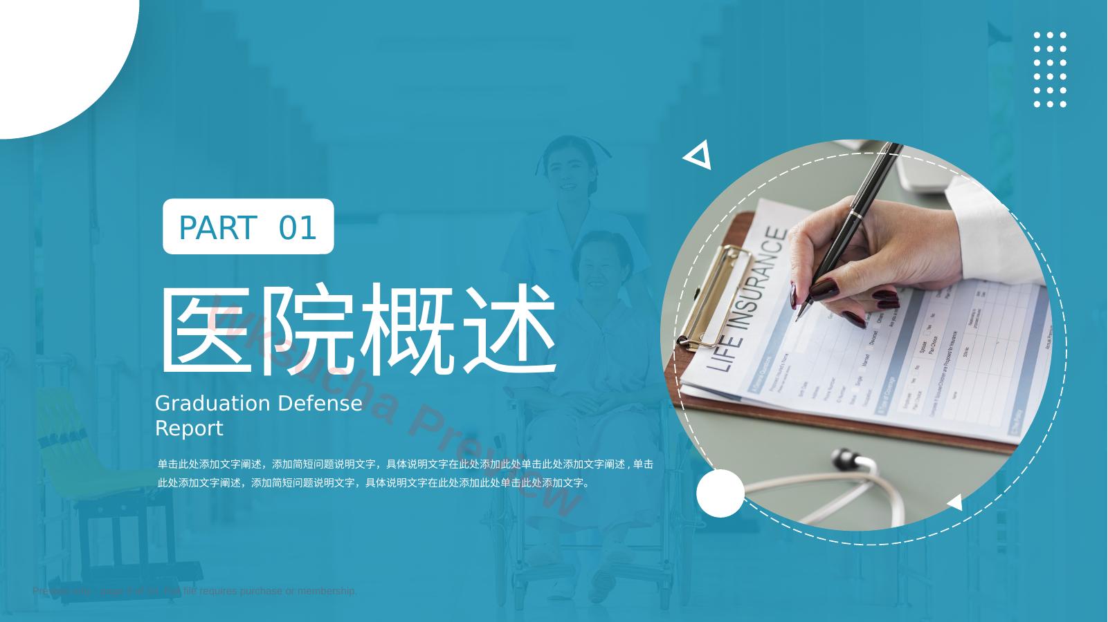 预览第 3 页