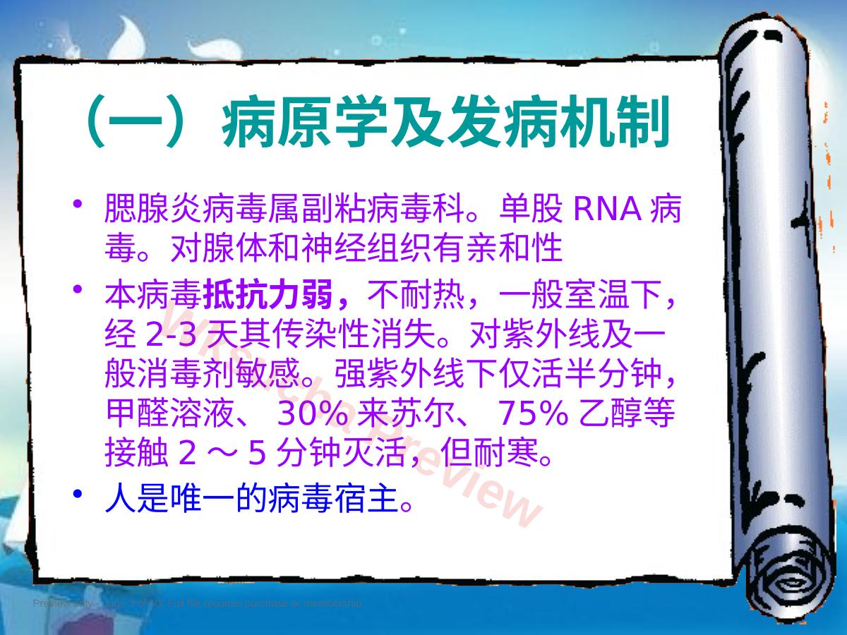 预览第 3 页