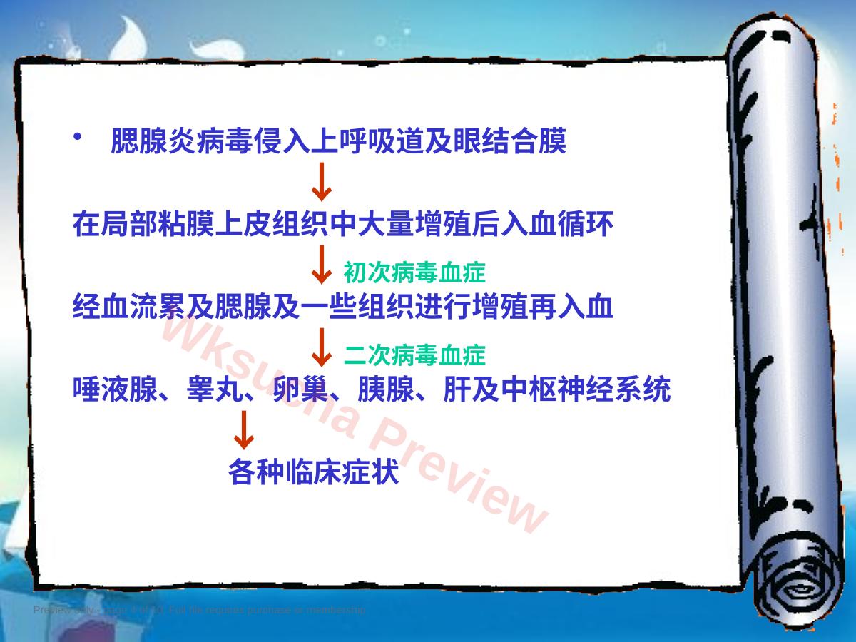 预览第 4 页