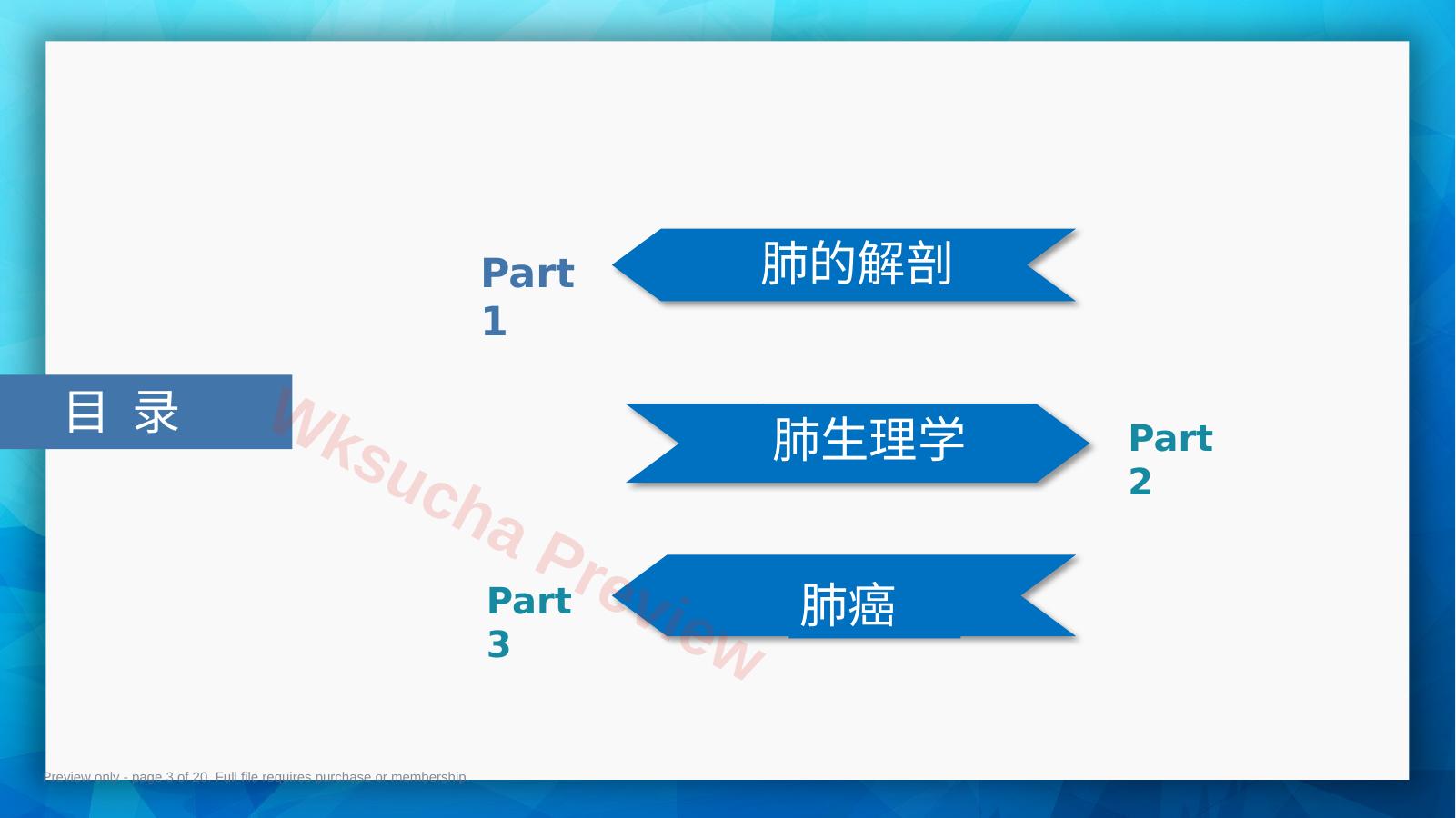预览第 3 页