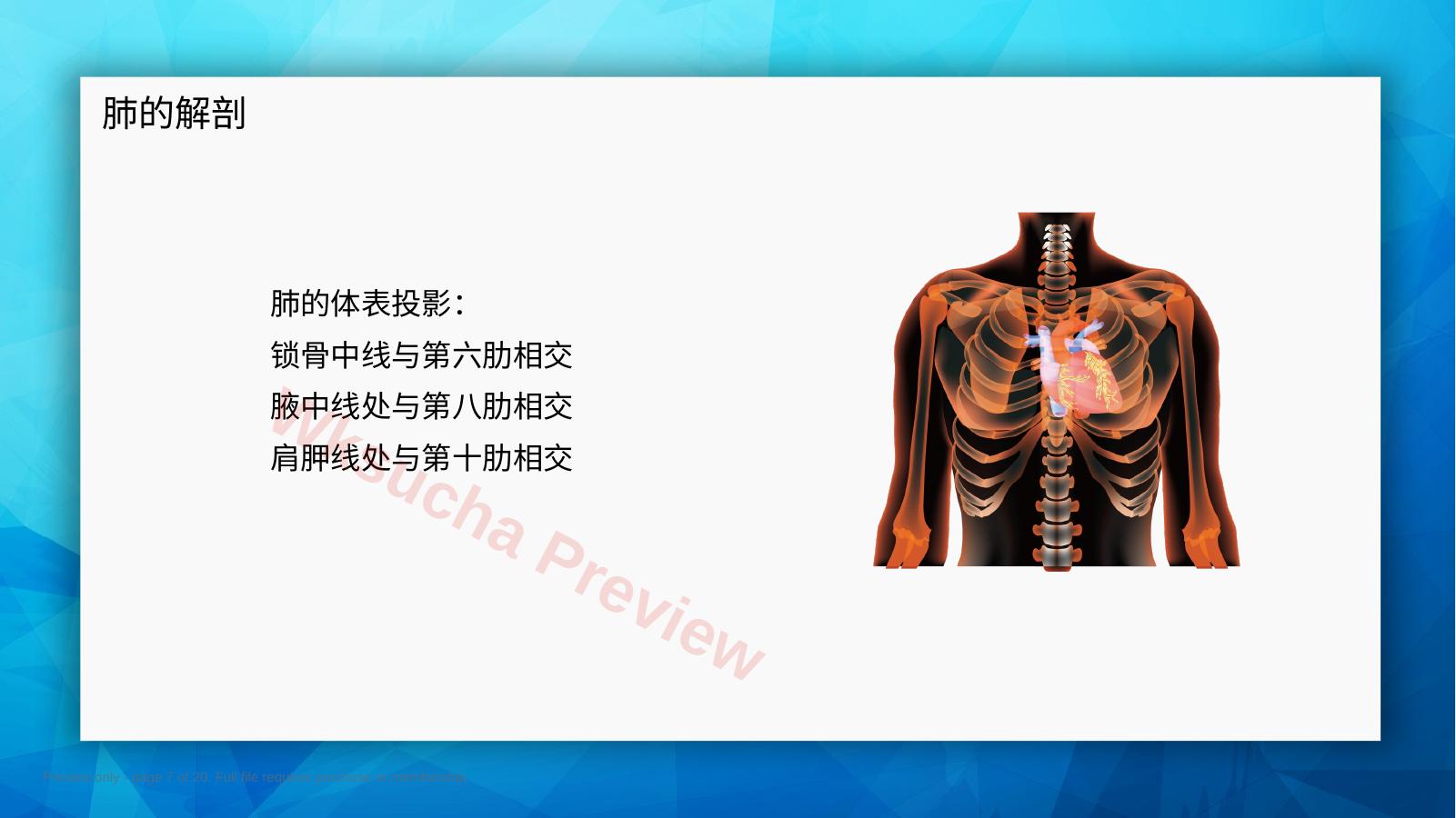 预览第 7 页
