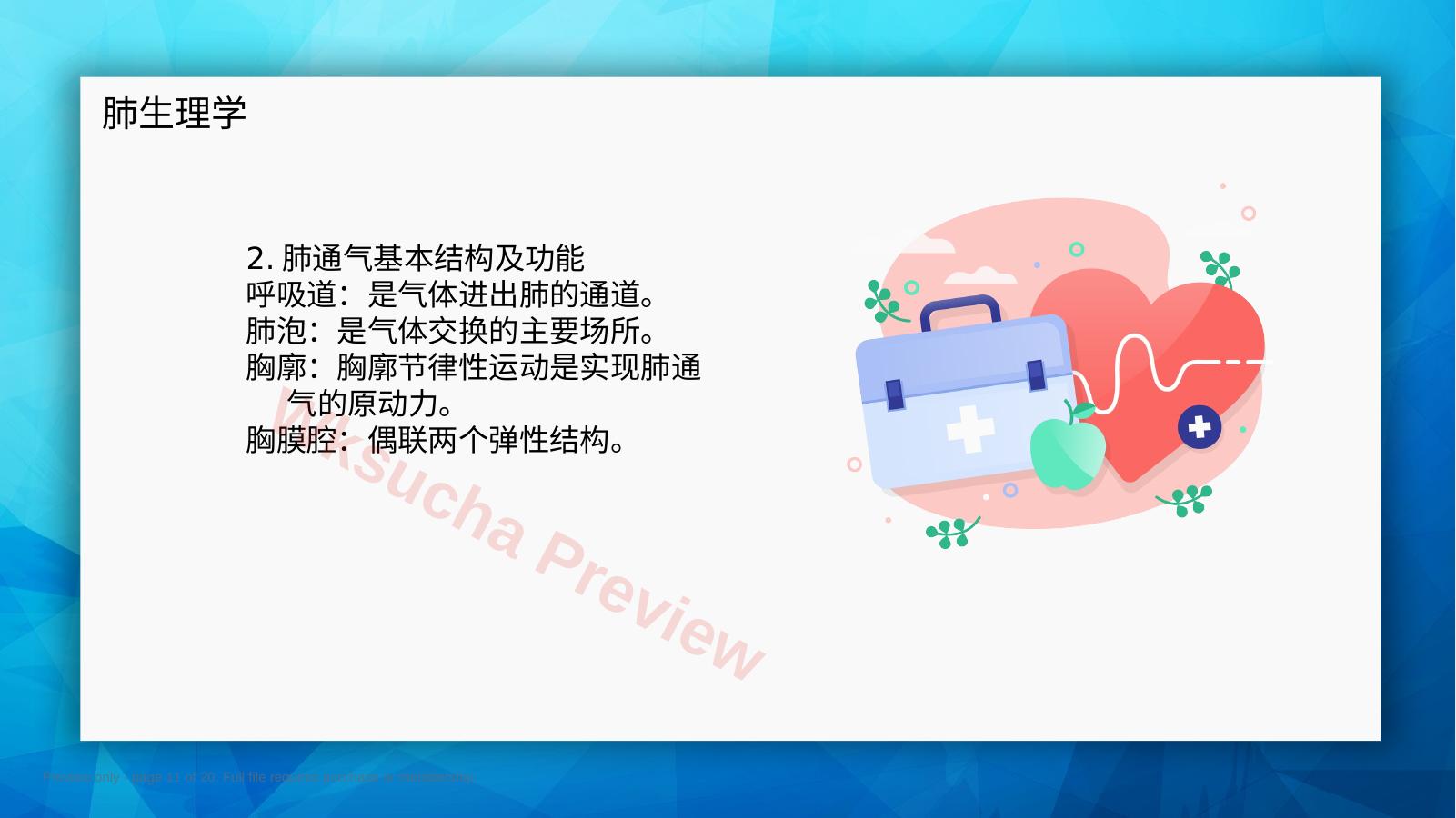 预览第 11 页