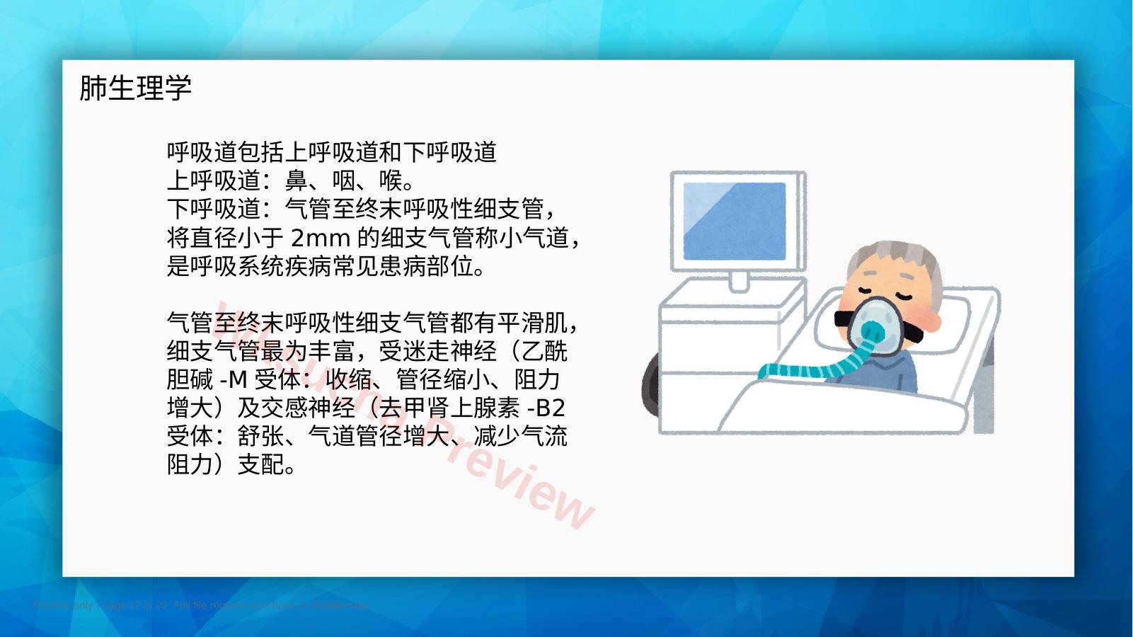 预览第 12 页