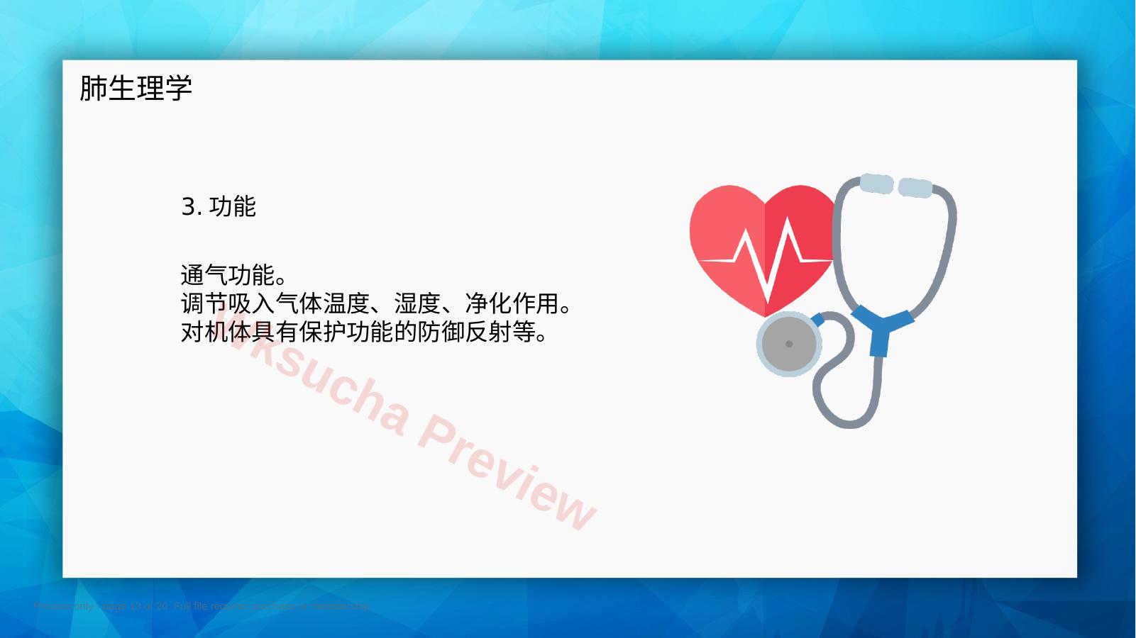 预览第 13 页