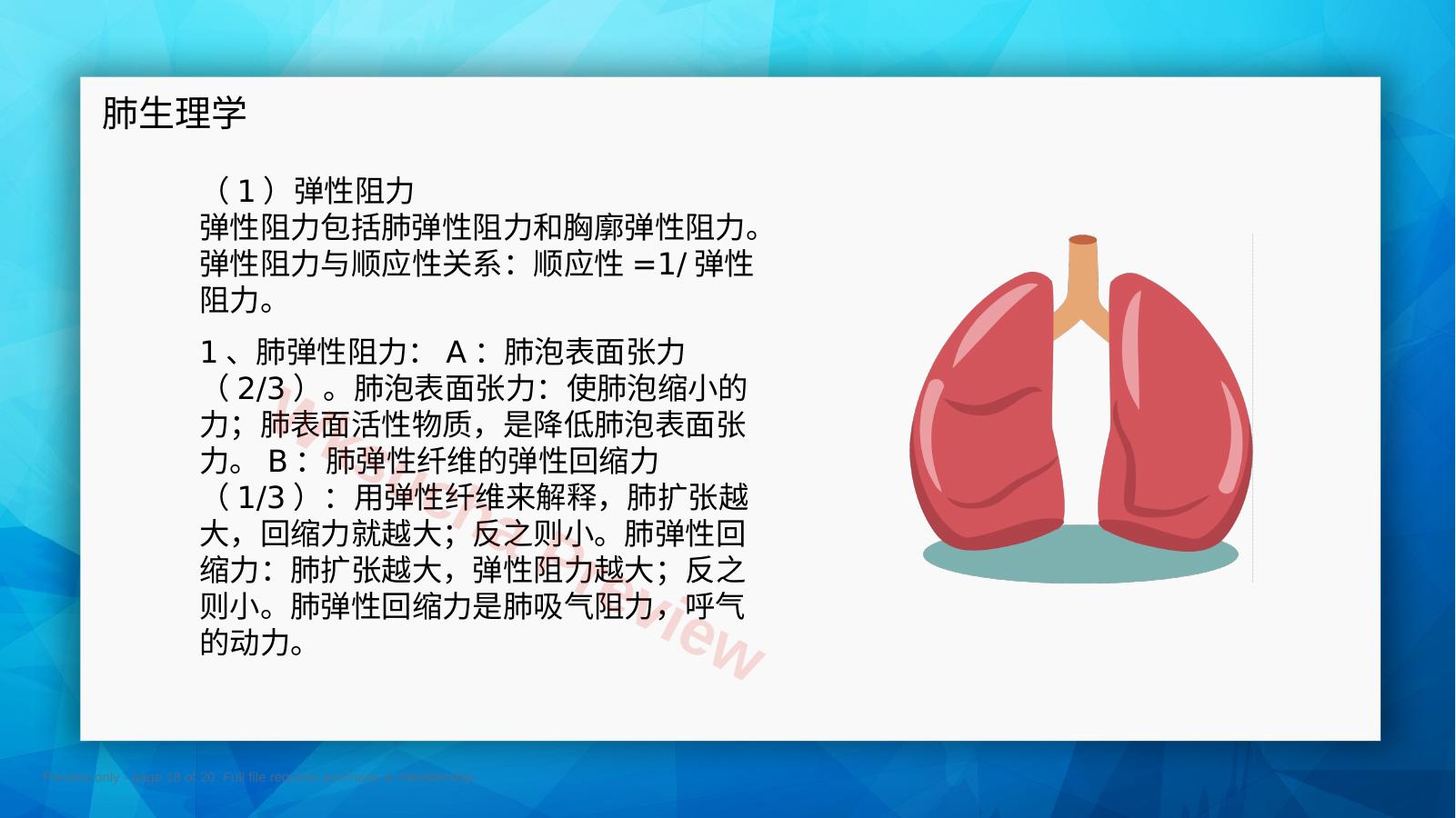 预览第 18 页