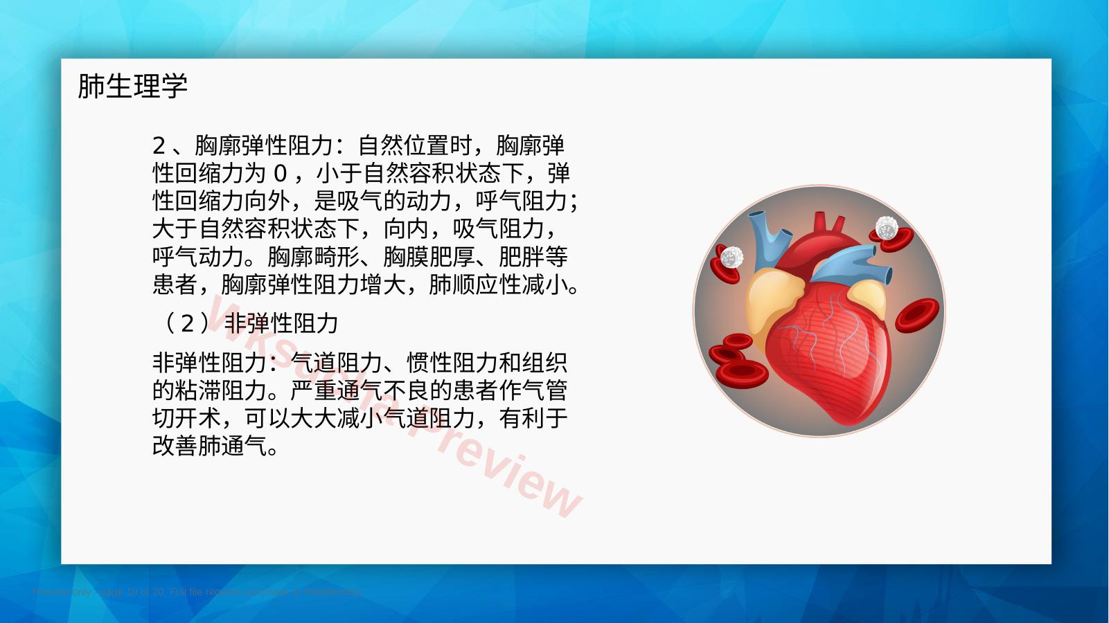 预览第 19 页