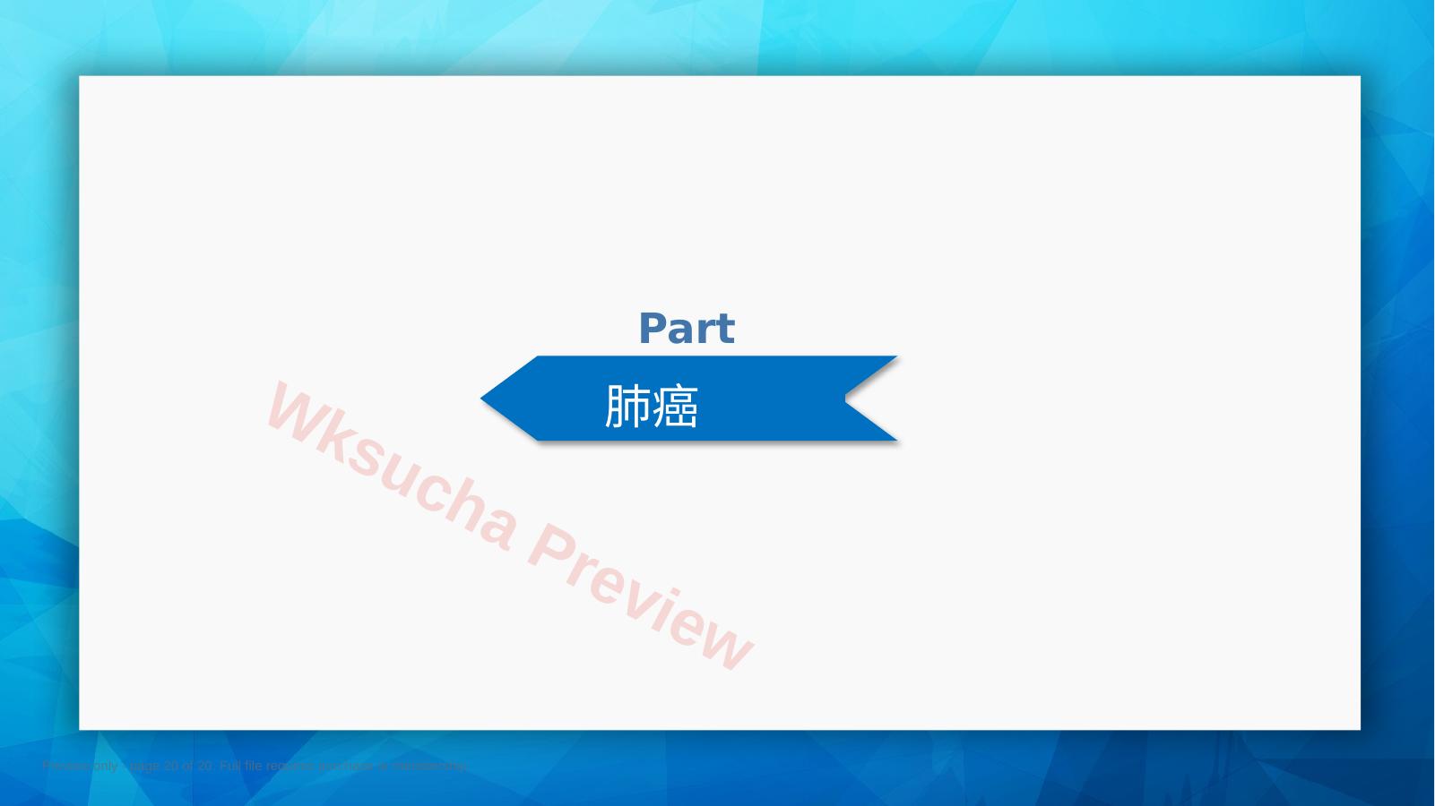 预览第 20 页