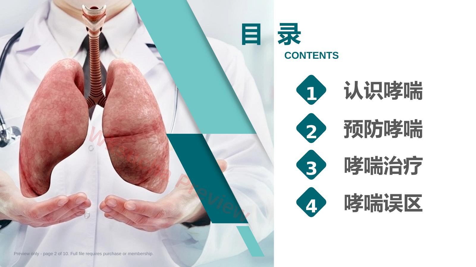 预览第 2 页
