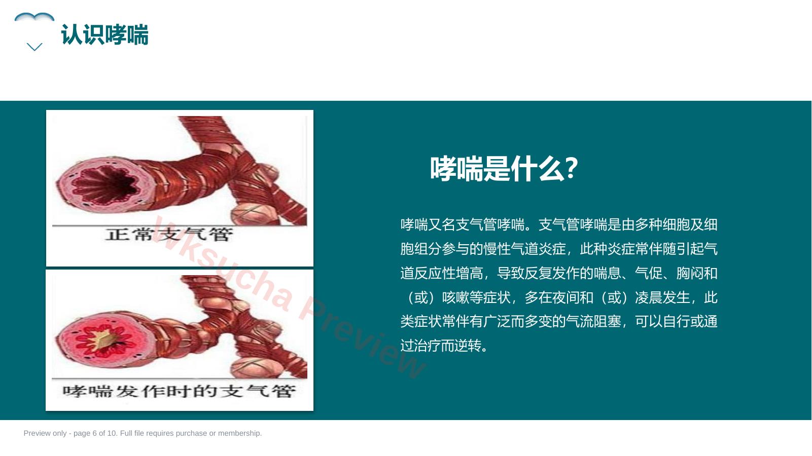 预览第 6 页