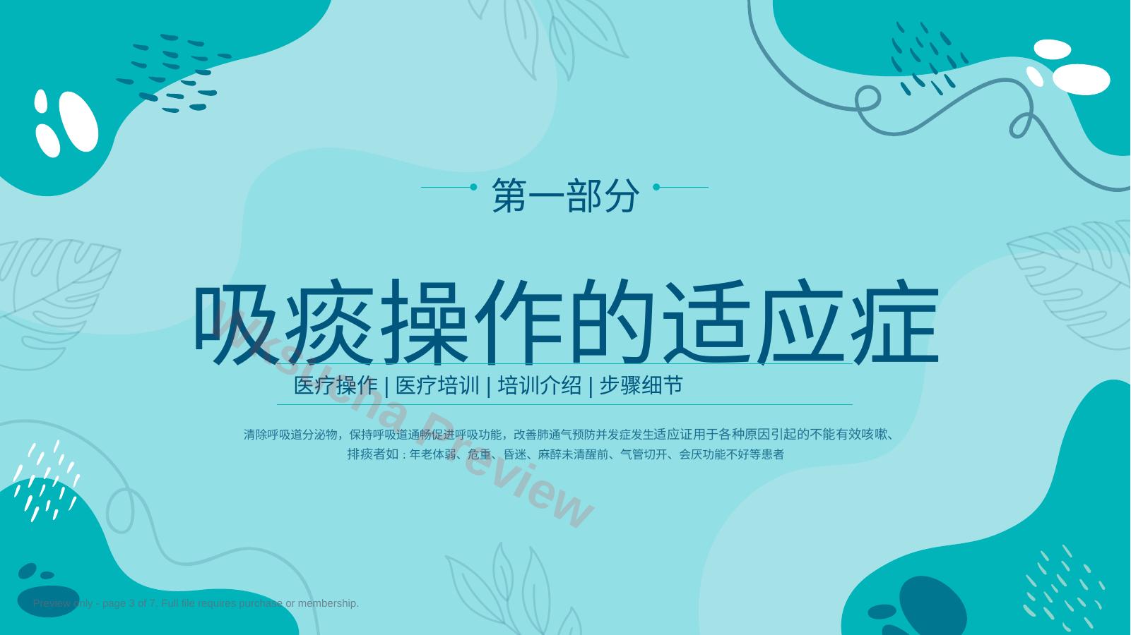 预览第 3 页