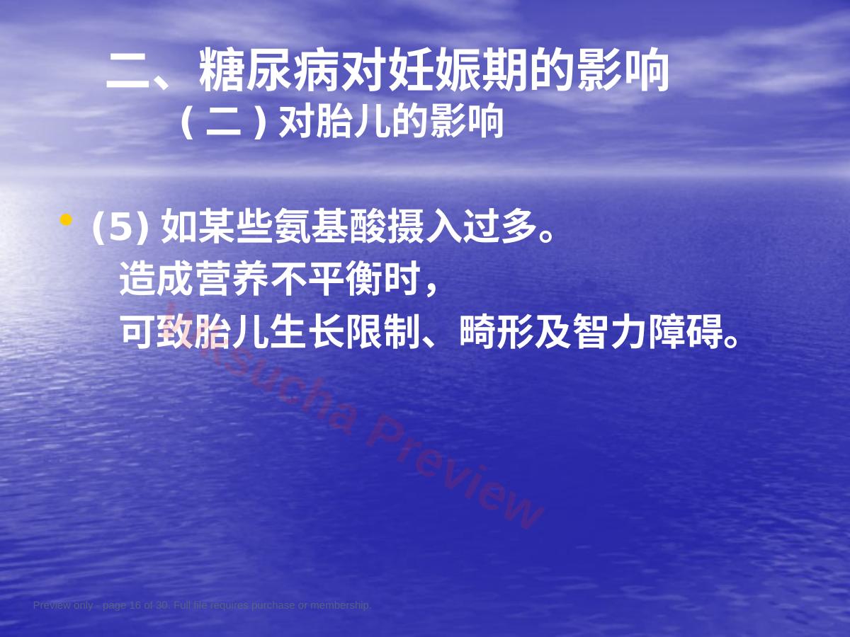 预览第 16 页