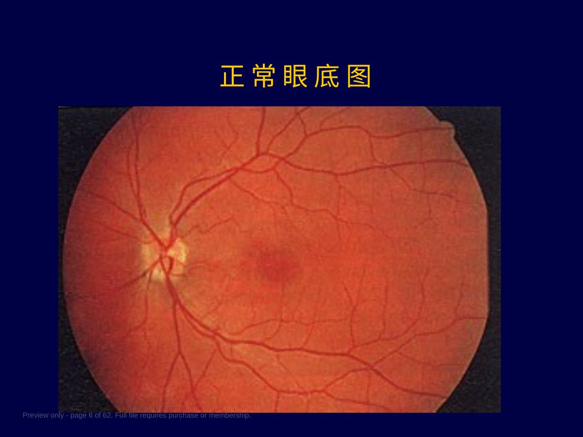 预览第 6 页