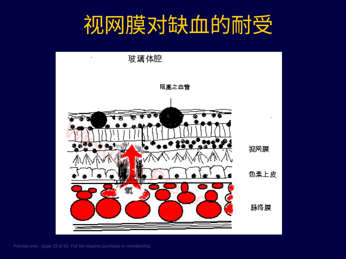 预览第 23 页