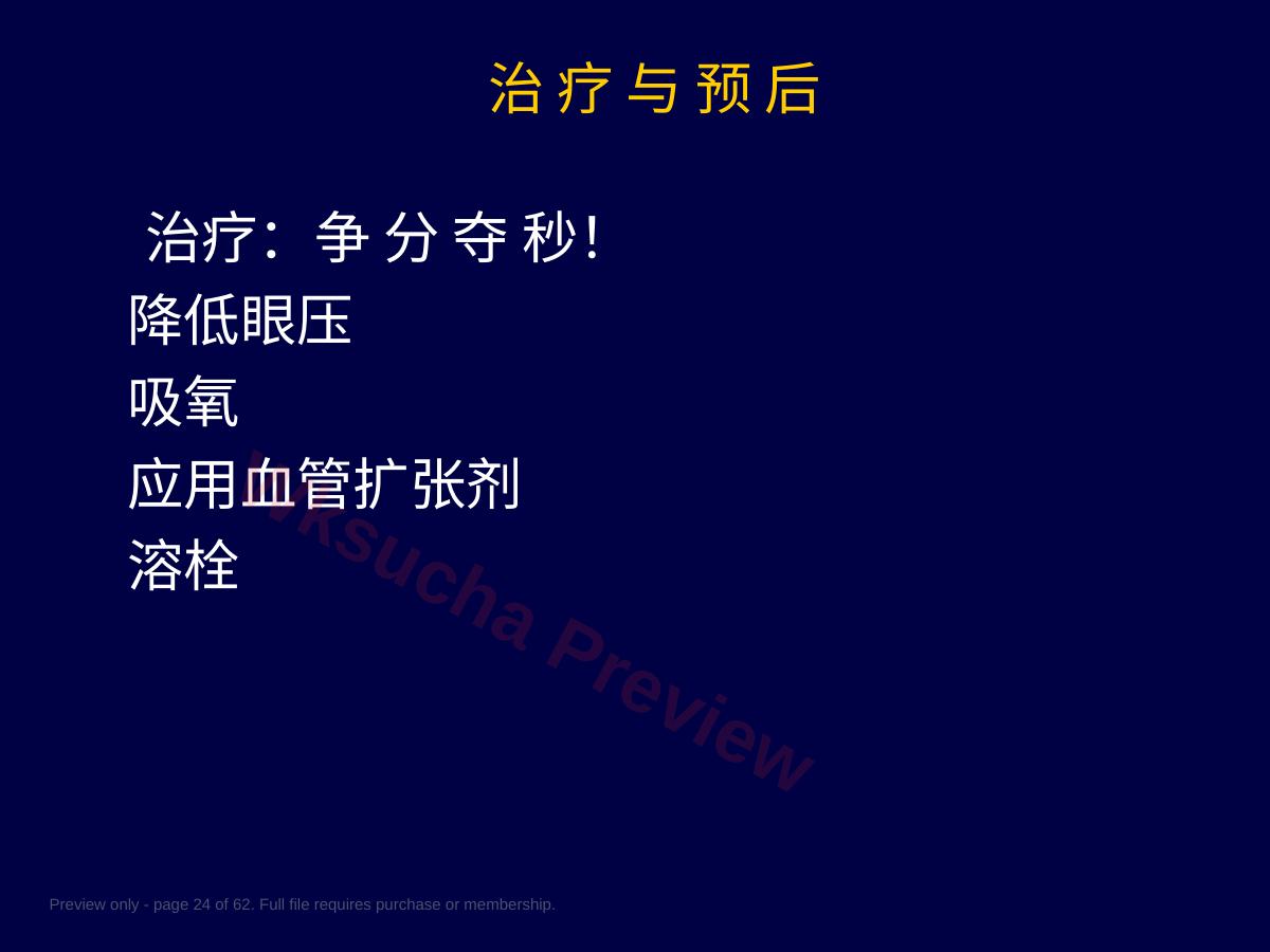预览第 24 页