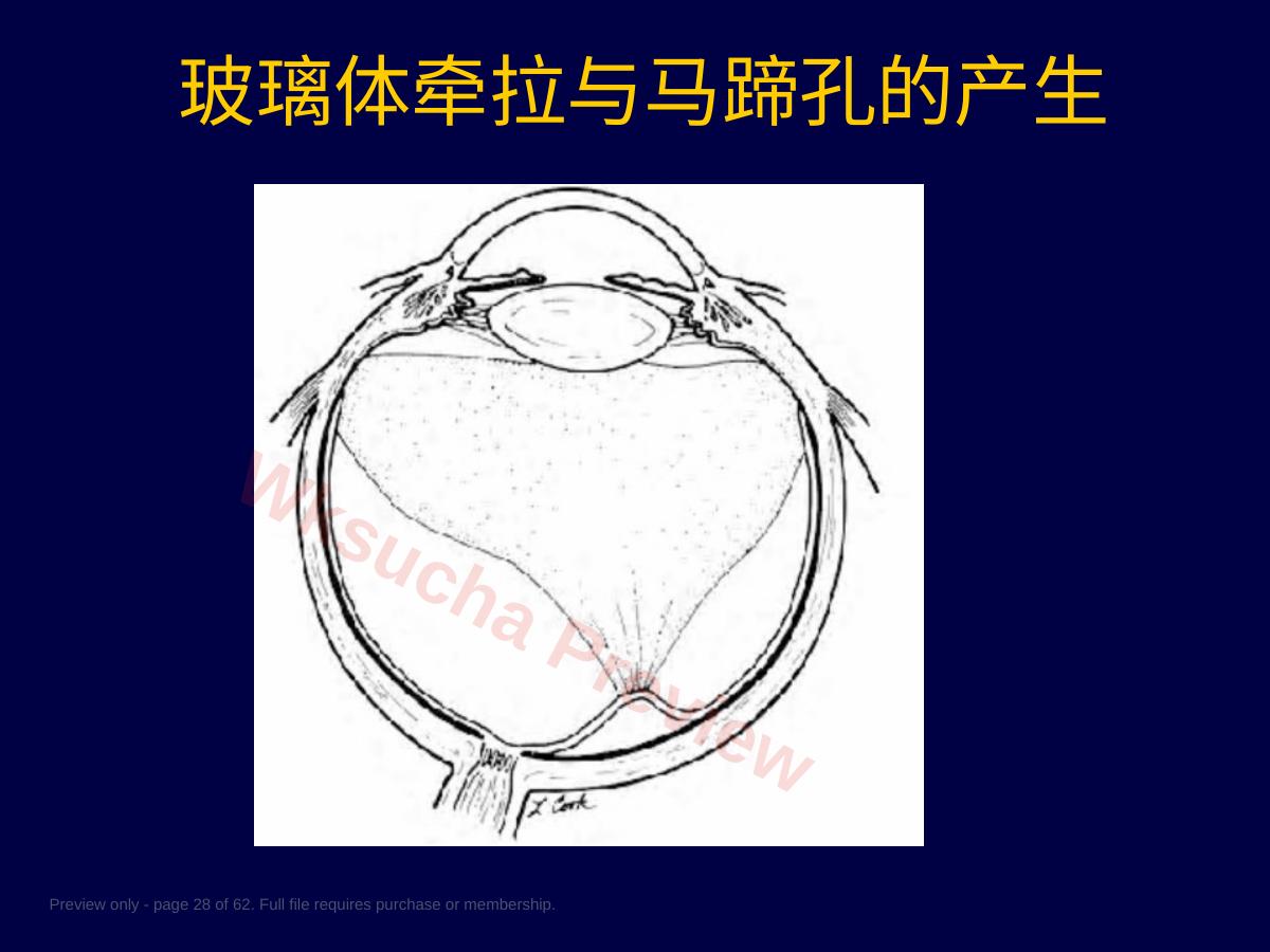 预览第 28 页