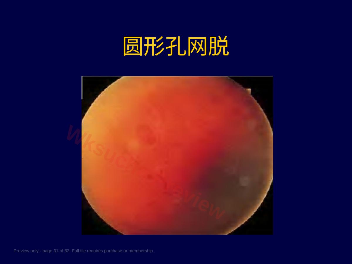 预览第 31 页