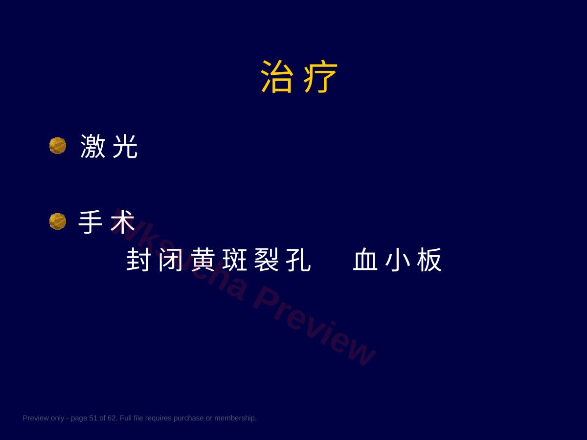 预览第 51 页