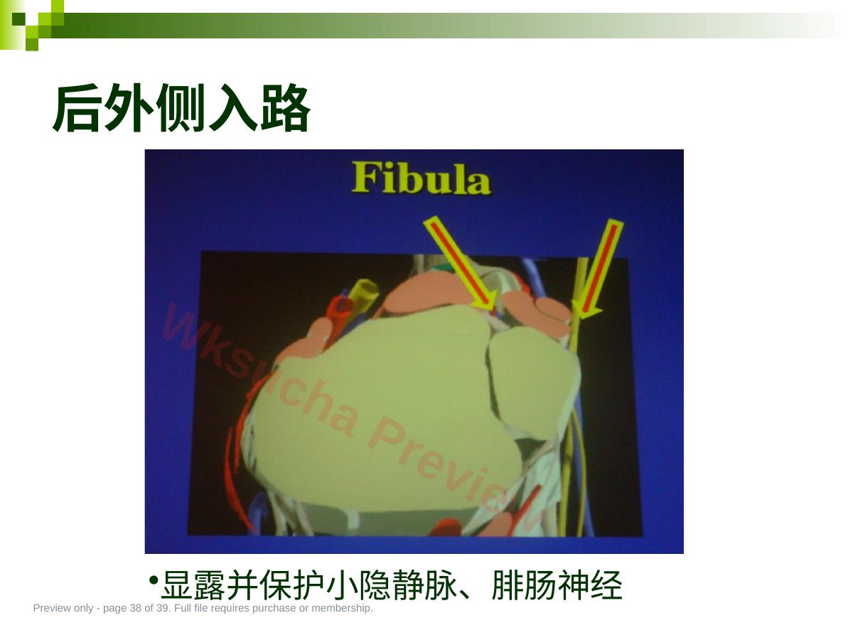 预览第 38 页