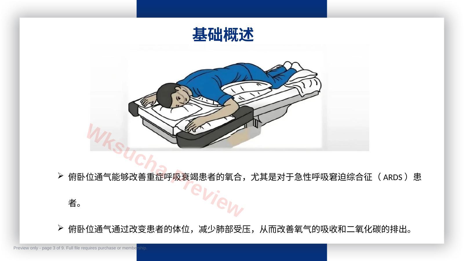 预览第 3 页