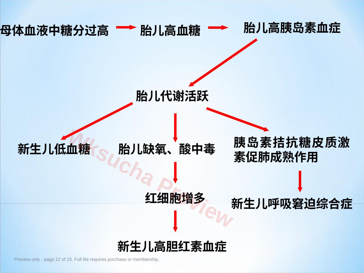 预览第 12 页