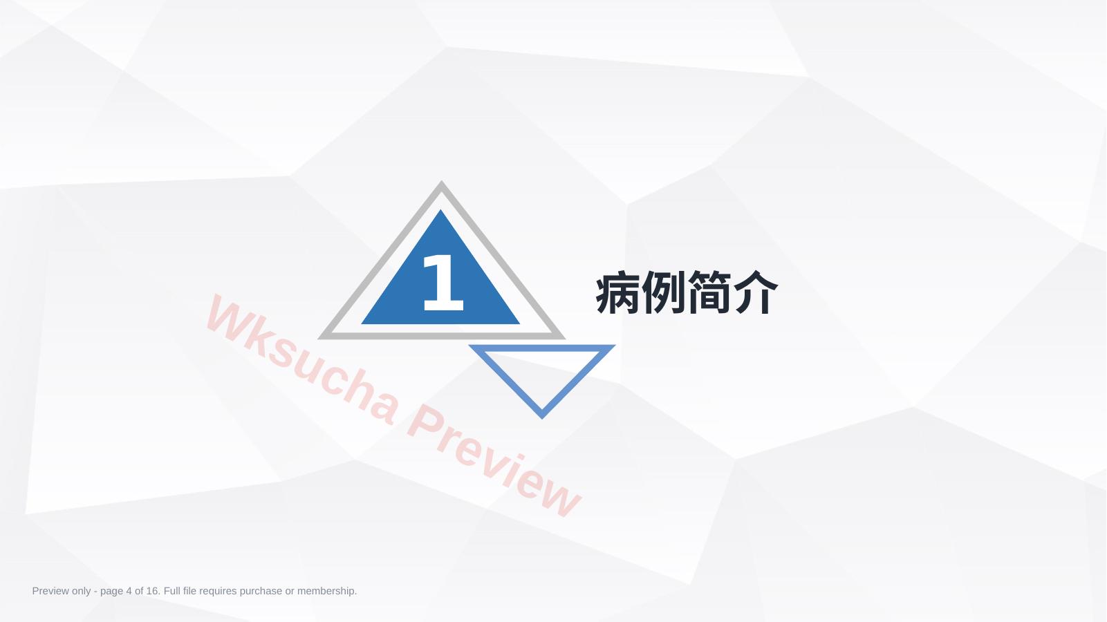 预览第 4 页
