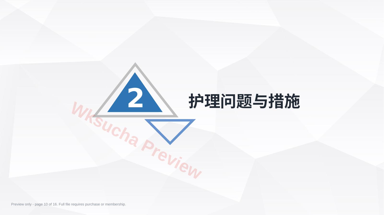 预览第 10 页