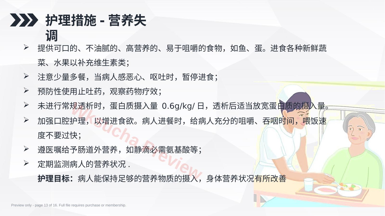 预览第 13 页