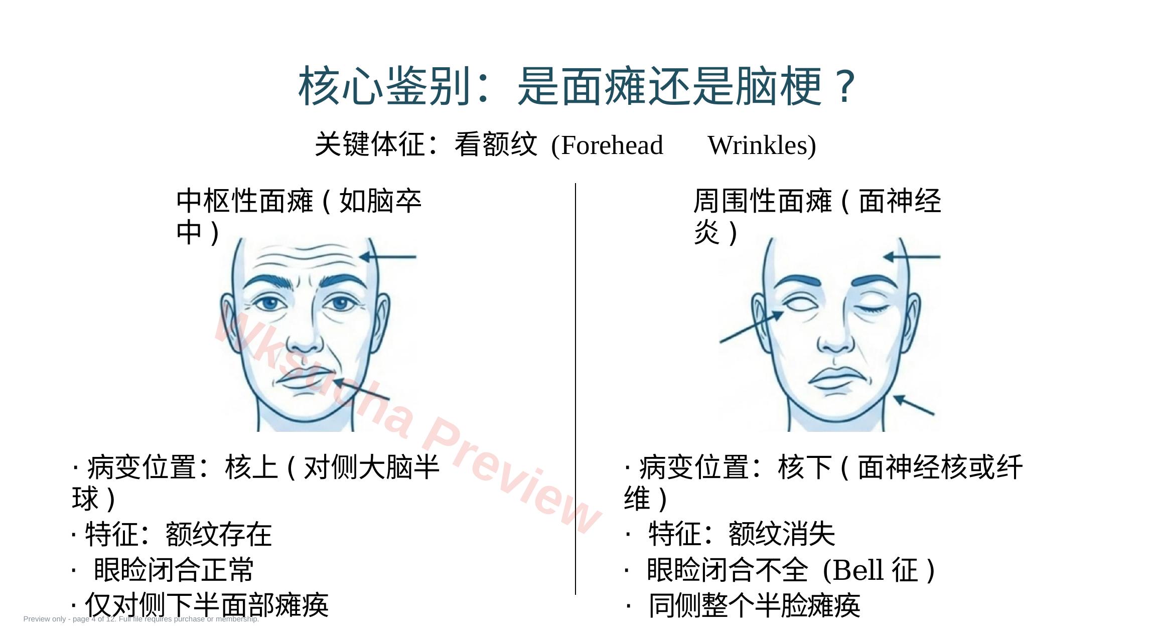 预览第 4 页