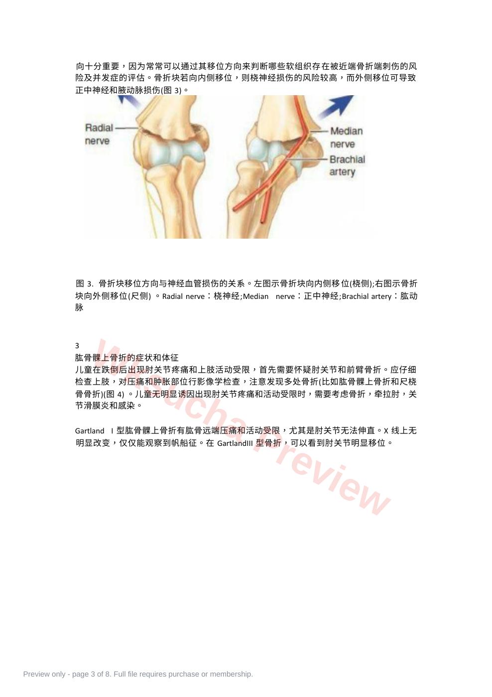 预览第 3 页