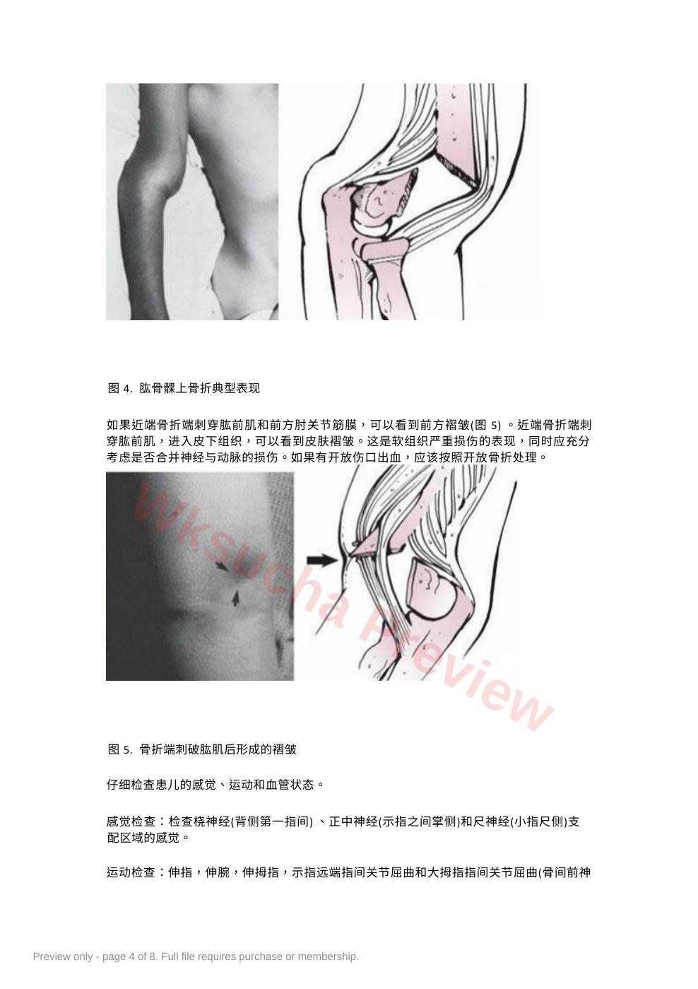 预览第 4 页