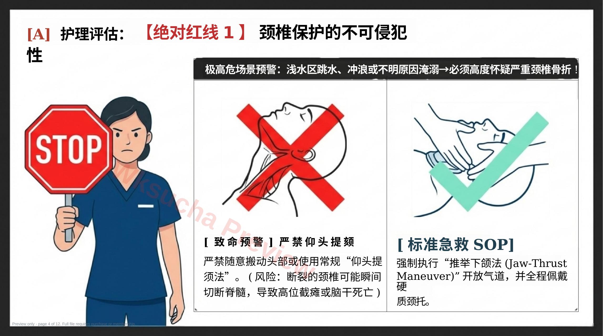 预览第 4 页