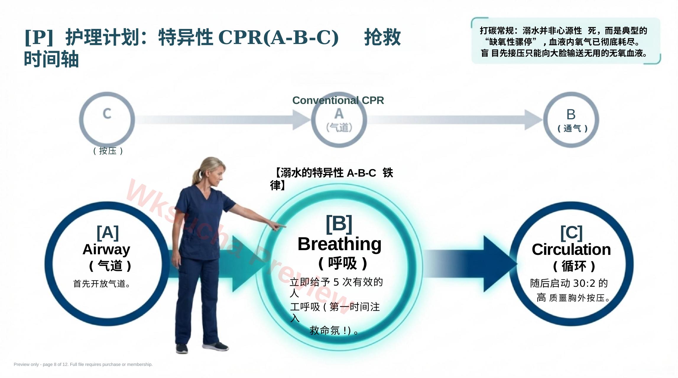 预览第 8 页