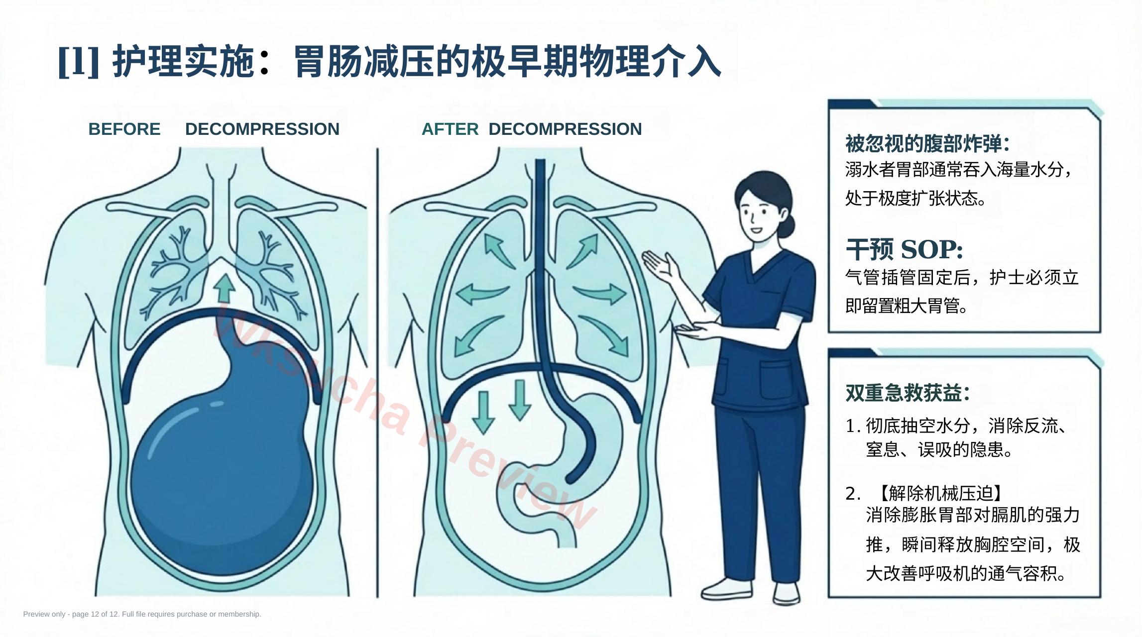 预览第 12 页