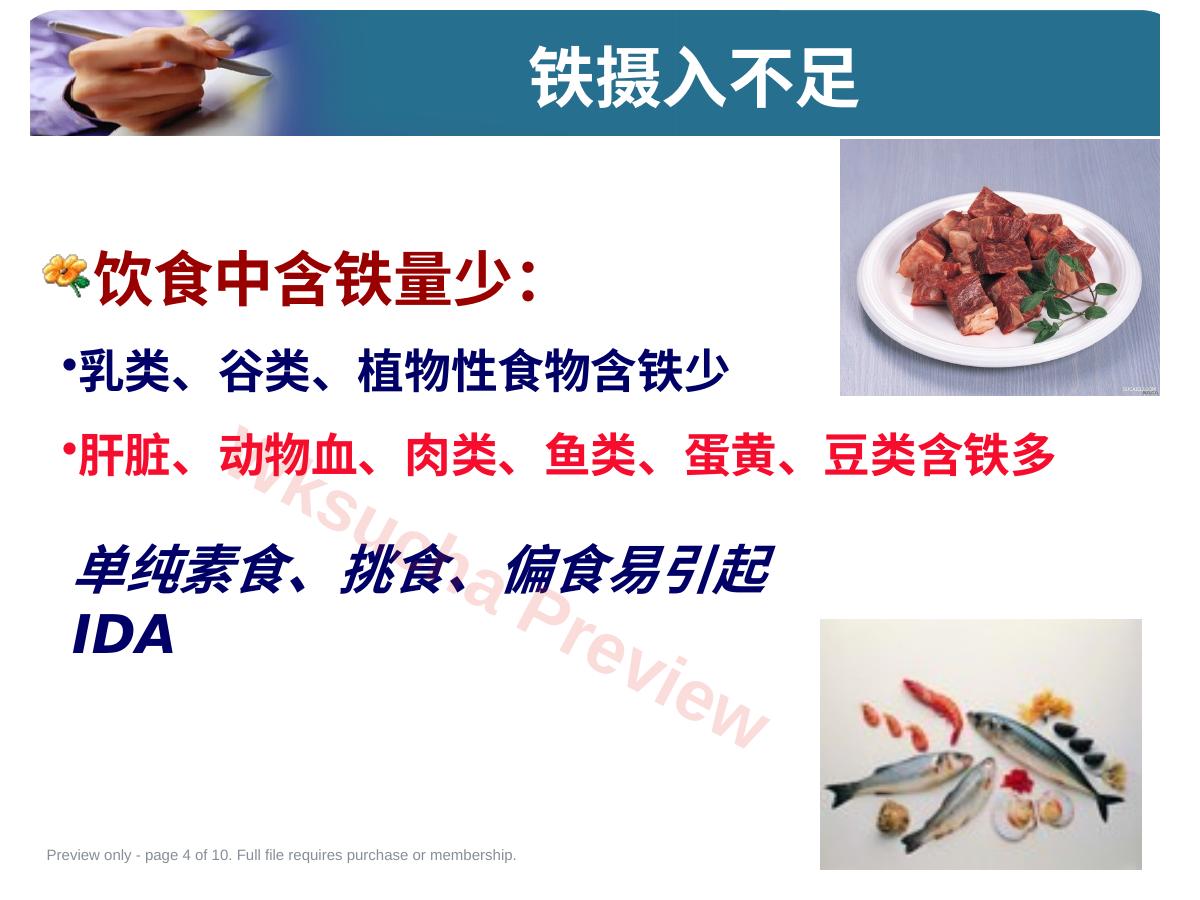 预览第 4 页