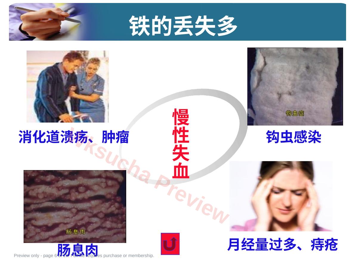 预览第 6 页