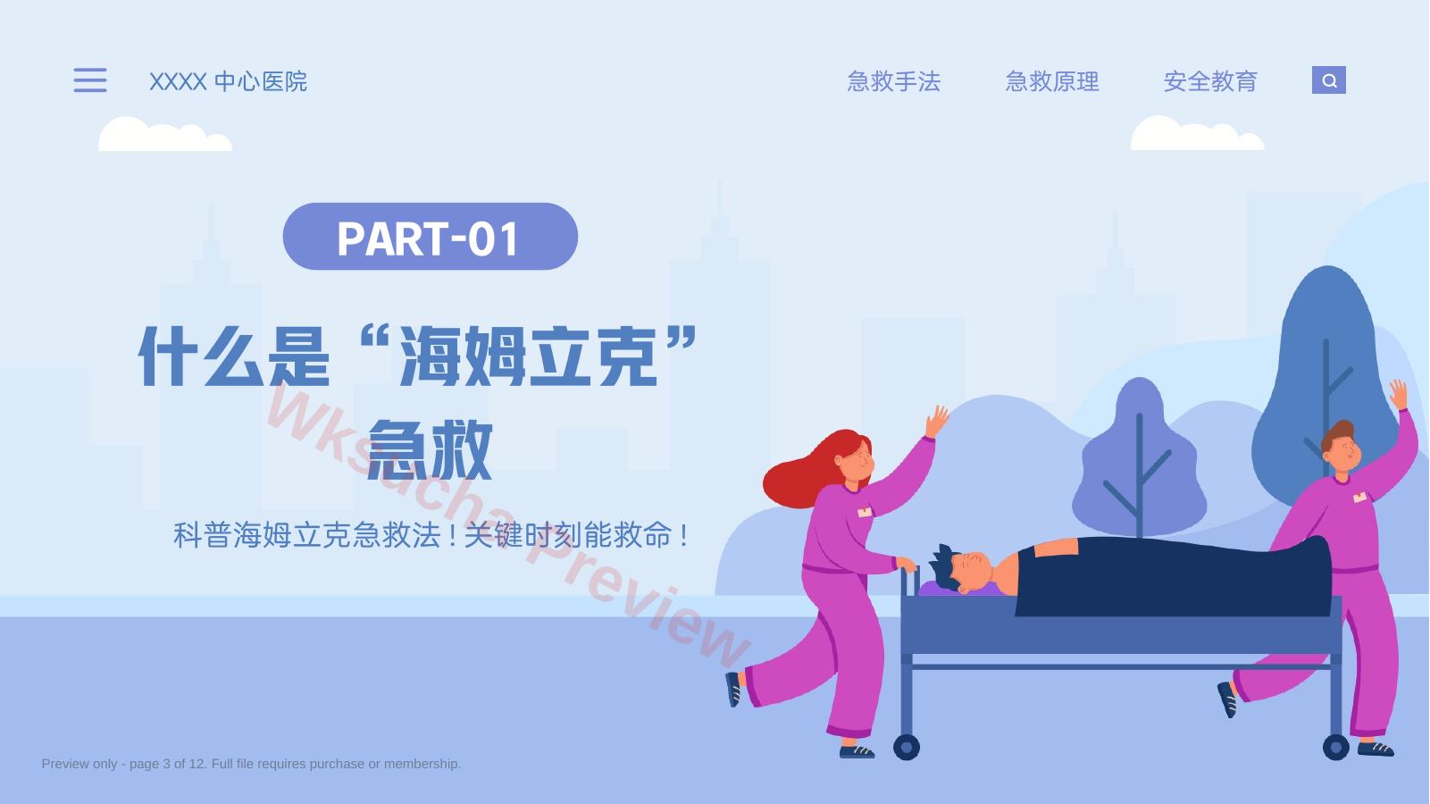 预览第 3 页