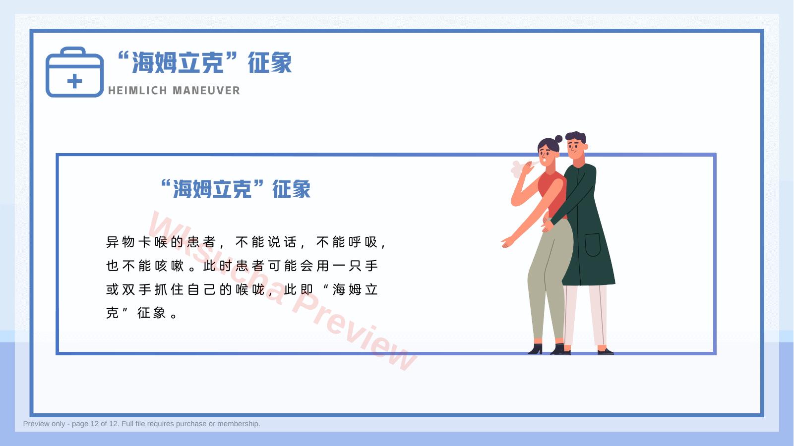 预览第 12 页