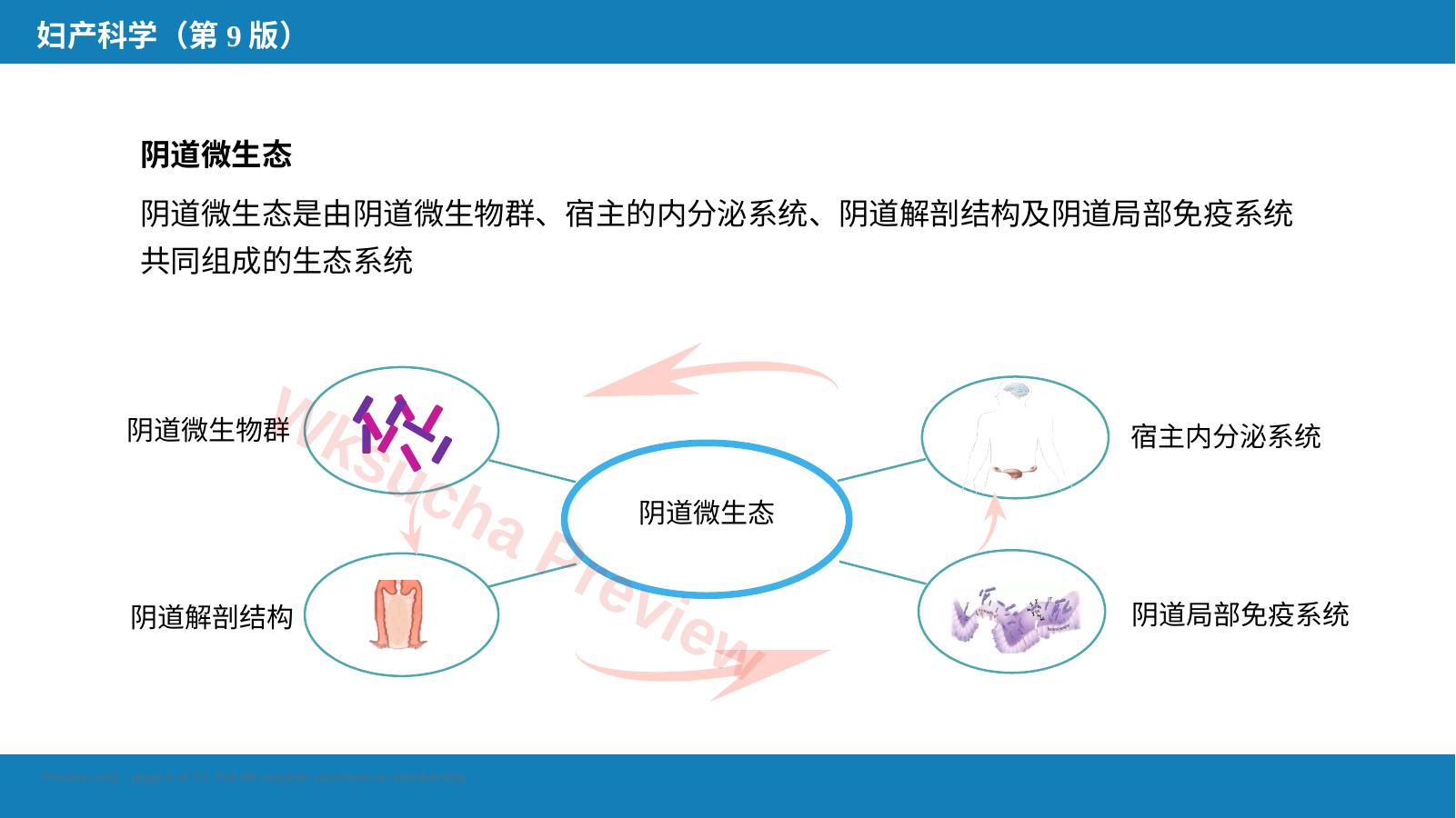预览第 6 页
