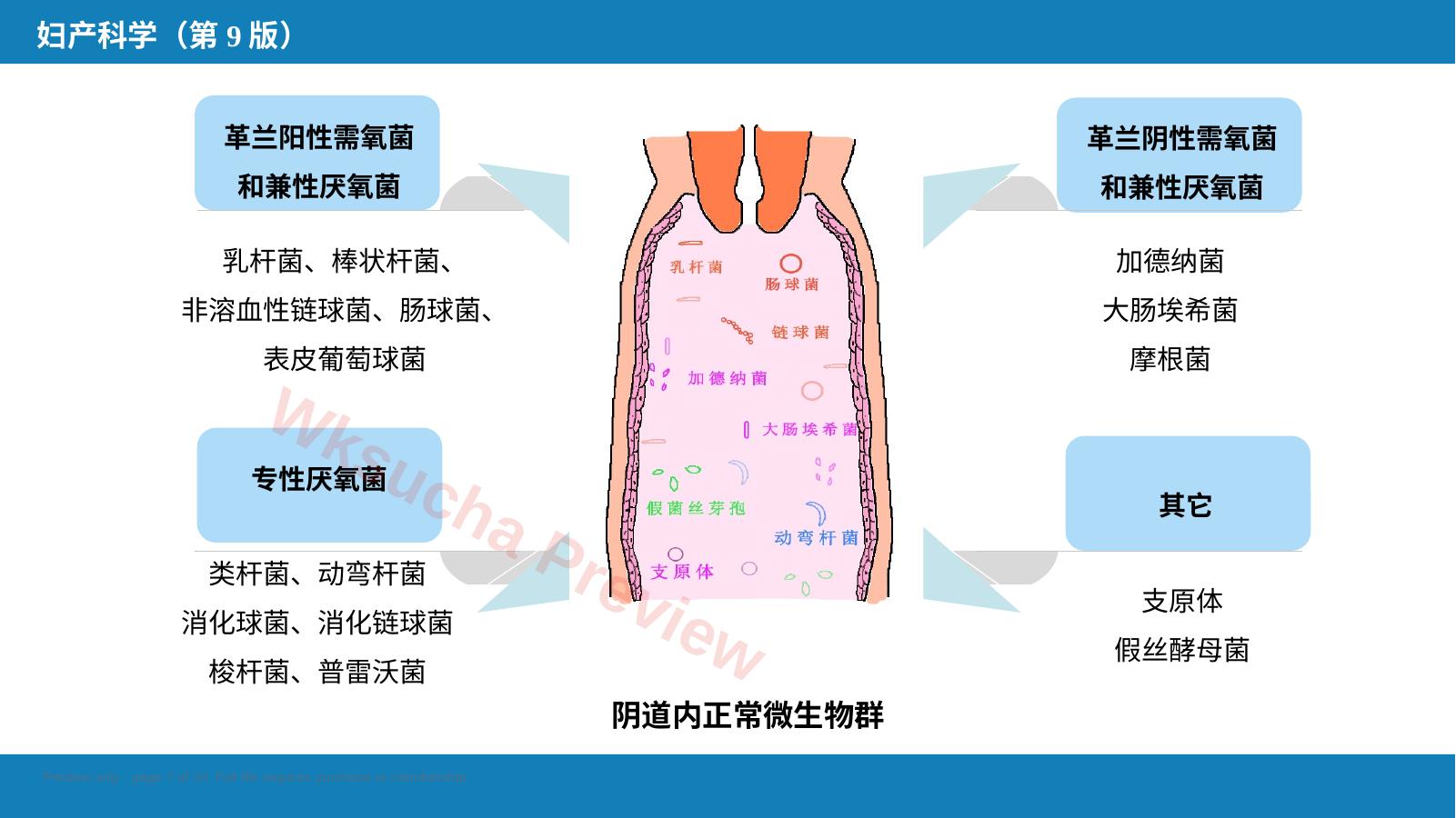 预览第 7 页