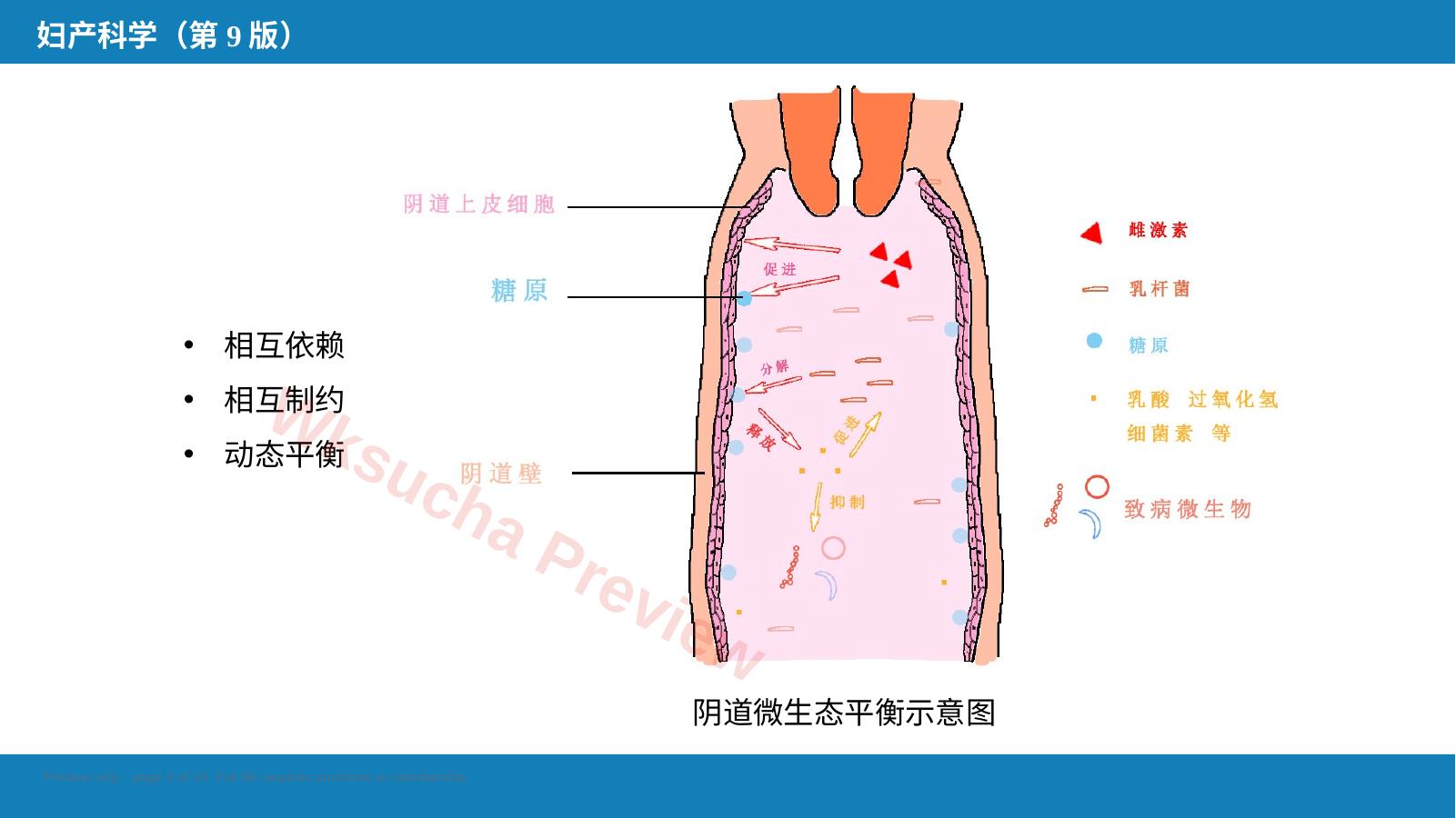 预览第 9 页