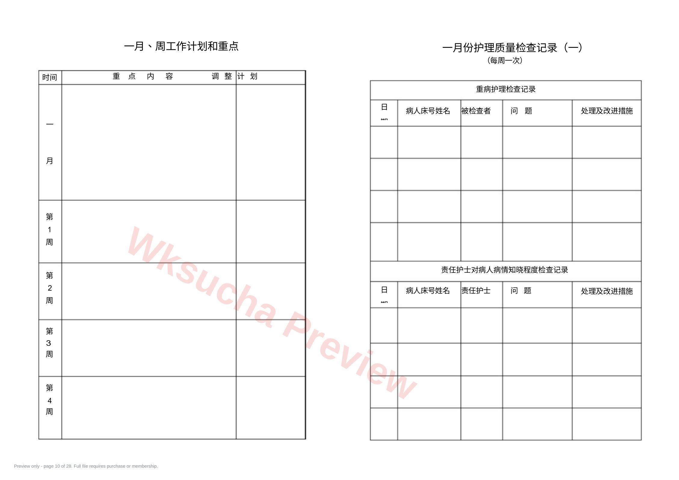预览第 10 页