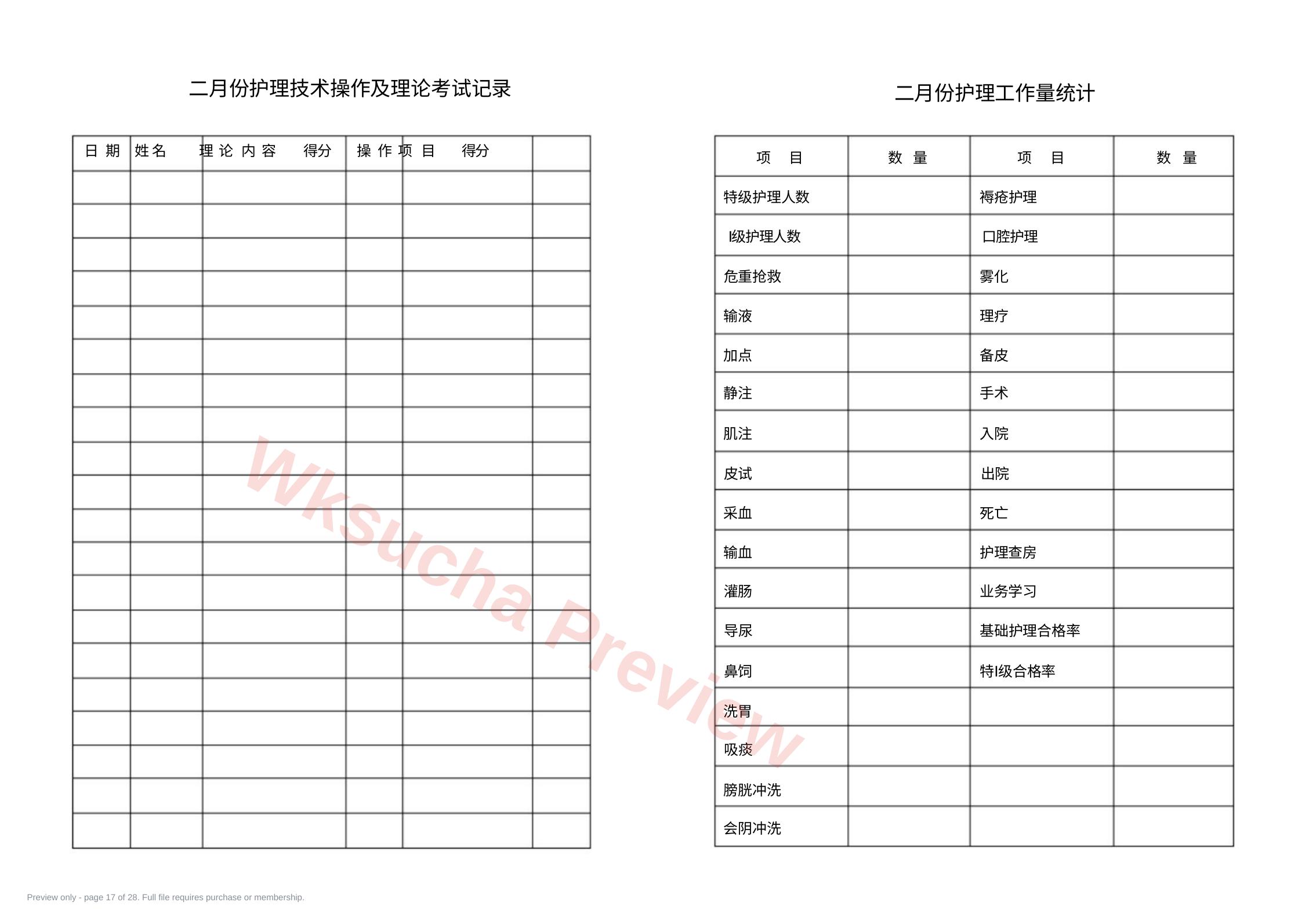 预览第 17 页