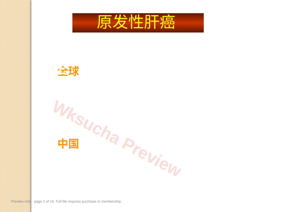 预览第 2 页