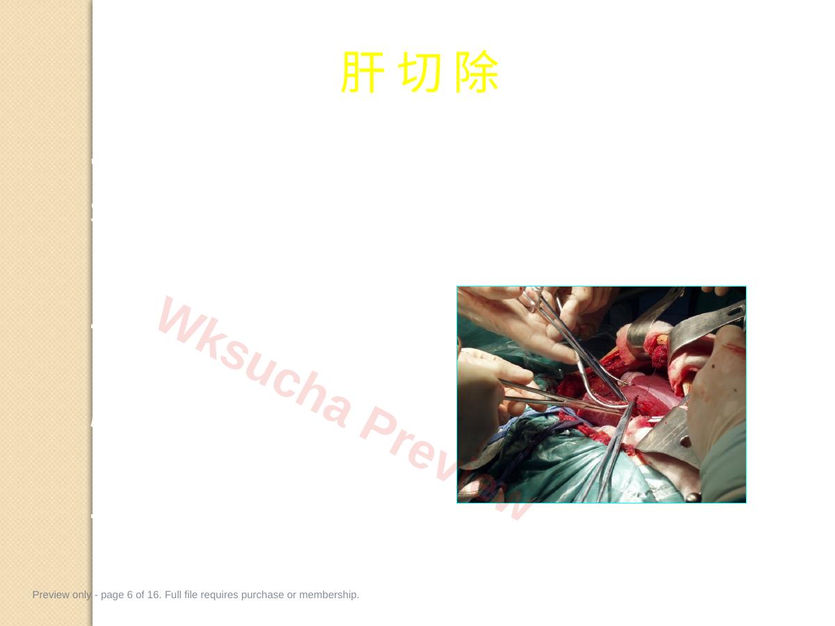 预览第 6 页