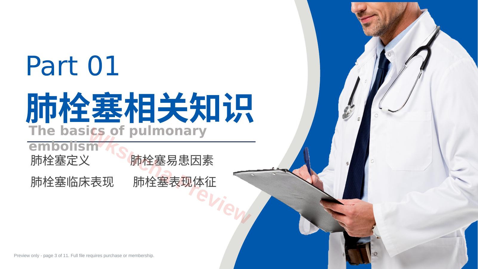 预览第 3 页