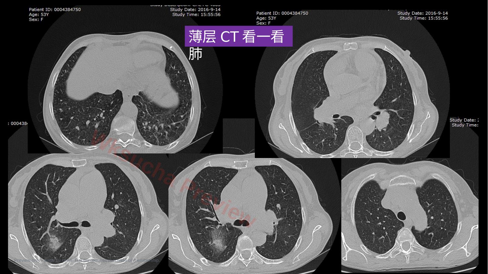 预览第 19 页
