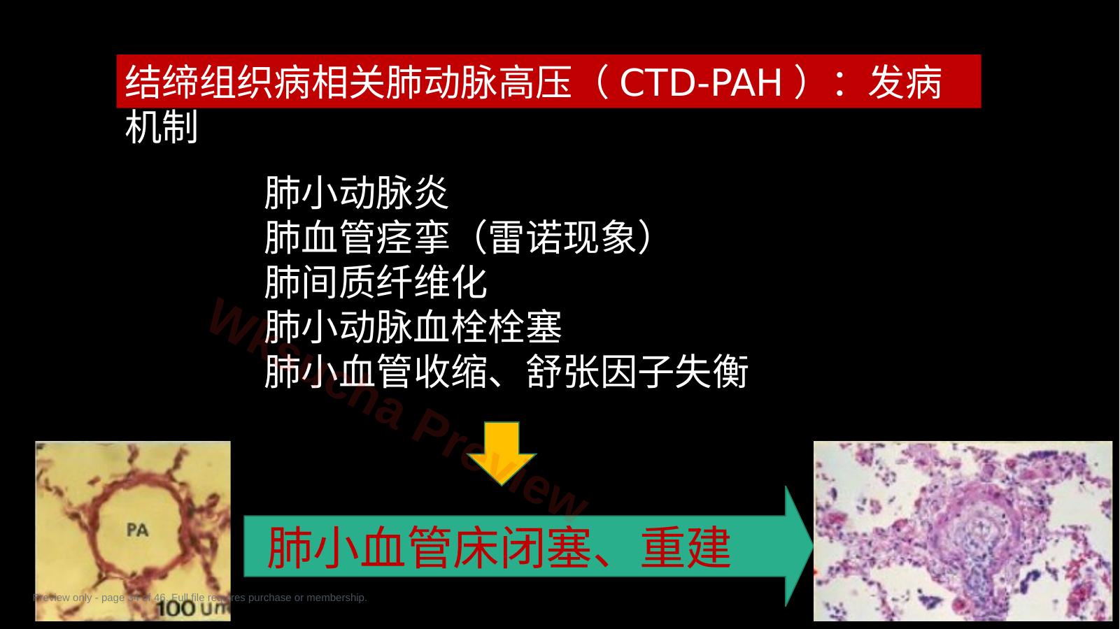 预览第 34 页