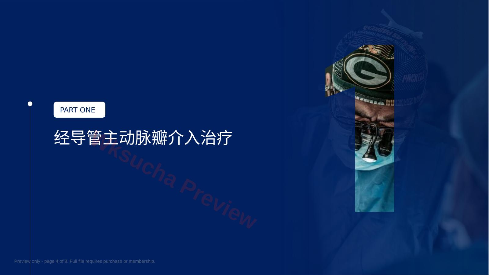 预览第 4 页