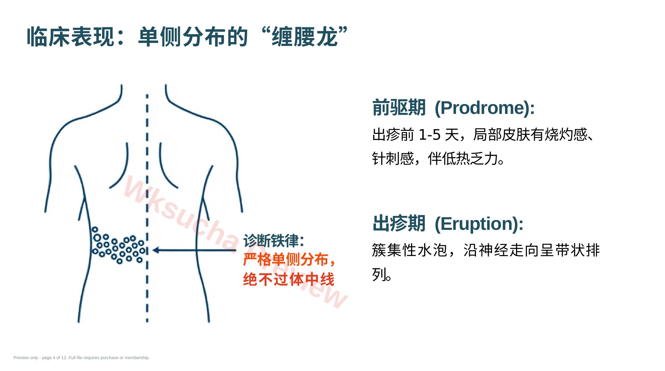 预览第 4 页