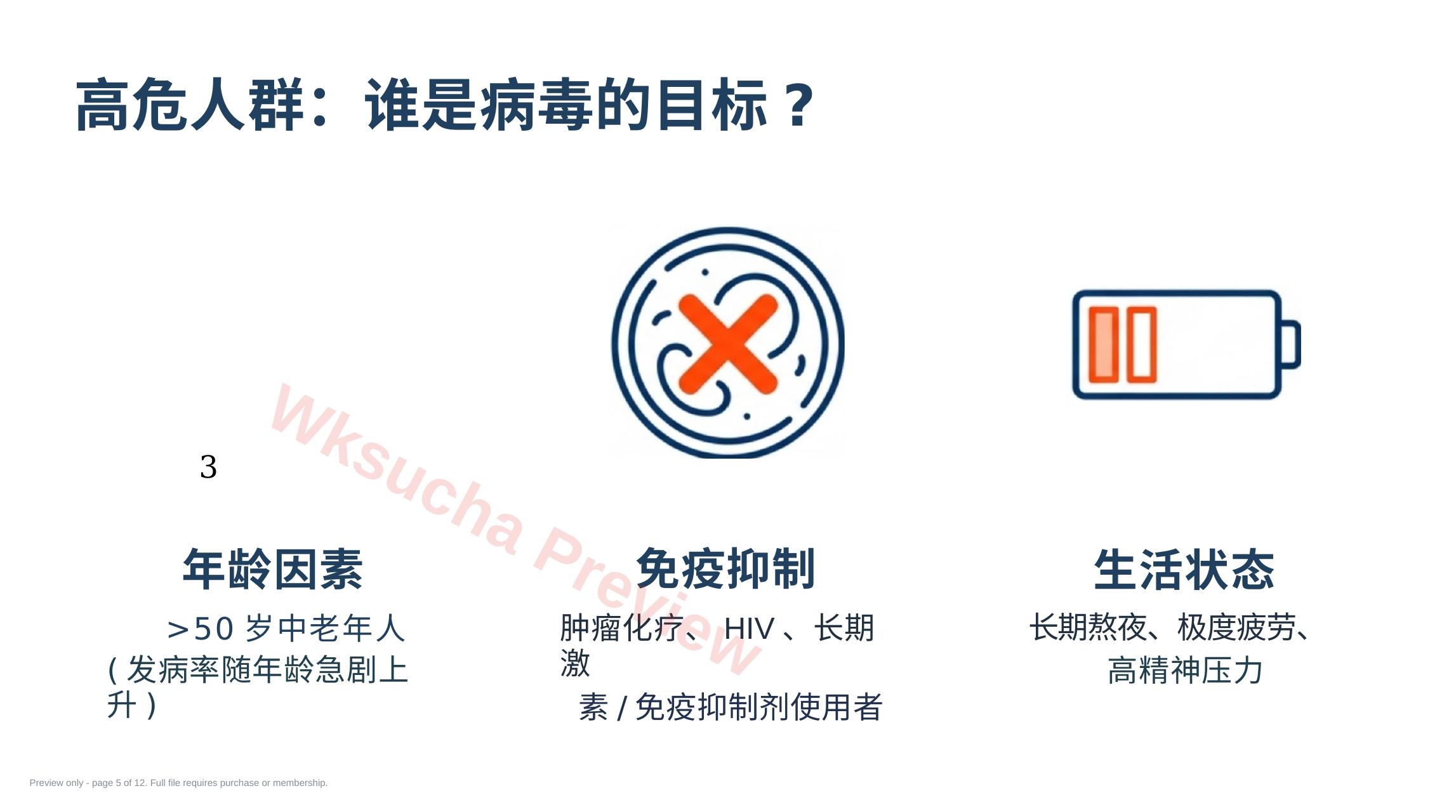 预览第 5 页